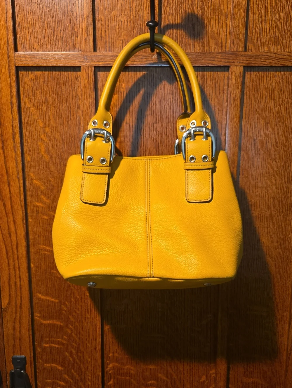 Tignanello Orangeish Leather Handbag